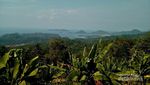 Muncak, Tempat Terbaik Menikmati Pemandangan Teluk Lampung