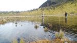 Munculnya Telaga Indah di Gunung Lawu