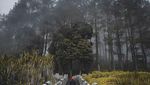 Mungkin, Ini Jadi Wisata Favorit Warga Minang di Sumatera Barat