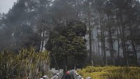 Trek Hikking untuk kegiatan joging.