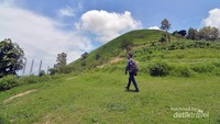 Bentang alam yang berupa rerumputan hijau mirip di Indonesia Timur.