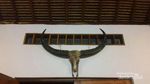 Museum di Sumba Ini Simpan Gendang dari Kulit Manusia!