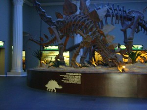 Museum Satwa, Satu Lagi Destinasi Menarik di Malang