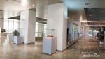Museum Sejarah Terbesar se-Asia Tenggara, Ada di Jakarta!
