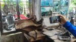 Museum Sisa Hartaku, Bukti Ganasnya Letusan Merapi