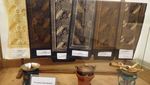 Museum Tekstil, Bikin Indonesia Jadi Pesona di Asia
