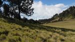 Naik Gunung Lawu dari Candi Cetho, Banyak Pemandangan Cantik