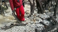 hutan mati