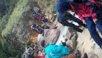 Naik Gunung Papandayan, Tidak Akan Menyesal!