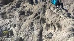 Naik Gunung Raung via Rute Klasik