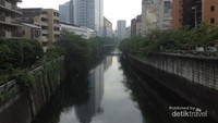 Sungai Meguro, merupakan sungai yang terletak kurang lebih 10 menit bila berjalan kaki dari Stasiun JR Meguro yang dilewati oleh kereta komuter JR Yamanote Line. Sungai ini menjadi spot favorit turis-turis domestik maupun turis-turis