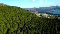 Hutan hijau yang indah dilihat dari ketinggian