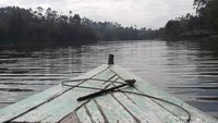 Bisa mengelilingi danau dengan perahu