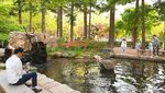 Nami Island Bukan Hanya Soal Winter Sonata
