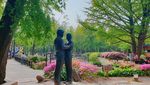 Nami Island Bukan Hanya Soal Winter Sonata