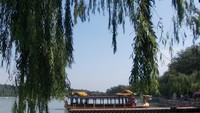 Rindangnya pepohonan di tepian danau Summer Palace.