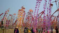 Umbul-umbul warna warni di festival