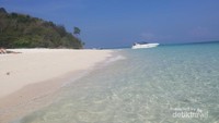 Bamboo Island