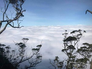 Negeri di Atas Awan Ada Puncak Gunung Mutis