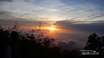 Negeri di Atas Awan, Garut Juga Punya!