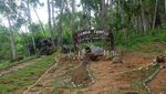 Negeri Dongeng di Balik Hutan Pinus Yogyakarta