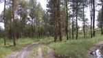 Ngabuburit Asyik ke Wisata Alam Jurang Jero Magelang
