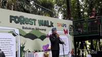 Taman Hutan Babakan Siliwangi