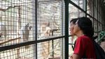 Ngabuburit di Ragunan, Kenapa Tidak?