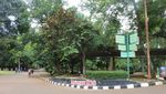 Ngabuburit di Ragunan, Kenapa Tidak?