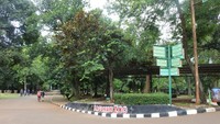 Suasana yang asri dan bersih