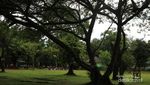 Ngabuburit di Ragunan, Kenapa Tidak?
