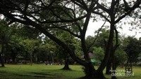 Pohon-pohon besar menaungi taman-taman