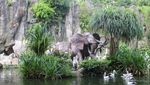 Ngabuburit di Ragunan, Kenapa Tidak?