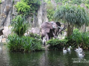 Ngabuburit di Ragunan, Kenapa Tidak?