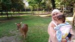 Ngabuburit di Solo, Pernah ke Taman Balekambang?