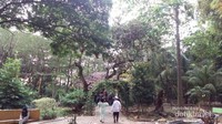 Taman kota asri dengan banyak pepohonan sering menjadi tempat untuk kelompok yang mengadakan acara bukber atau buka bersama.