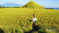 Hamparan sabana di Pulau Kenawa sangat mengagumkan