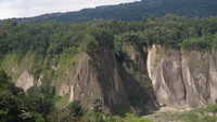 Lembah yang berupa tebing dan hutan hijau (Afif/detikTravel)