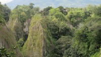 Keajaiban dari Bukittinggi (Afif/detikTravel)