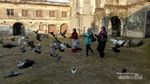 Ngawi Punya Benteng yang Instagramable