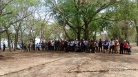 Traveler harus melihat dari jarak aman