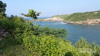 Pemandangan ke Arah Laut