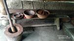 Ngopi dengan Panorama Hijau di Bali, Ini Tempatnya
