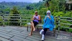 Ngopi dengan Panorama Hijau di Bali, Ini Tempatnya
