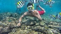 Dunia bawah laut yang indah