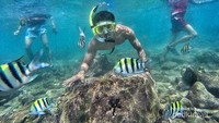 Menyelam di bawah laut Pantai Nglambor