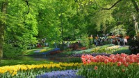 Keukenhof Garden di Belanda (wikipedia.org)