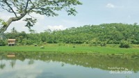 Pemandangan Rawa Pening yang asri dan indah