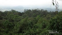 Kota Medan di kejauhan
