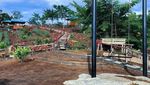 Nikmatnya Secangkir Kopi di Puncak Sungai Penuh